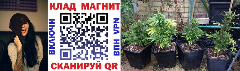 Купить наркотики цена Короча СК МАРИХУАНА МЕФ Гашиш