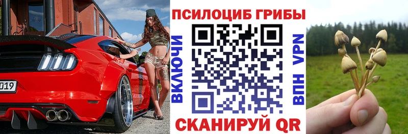 Псилоцибиновые грибы прущие грибы  сколько стоит  Короча 